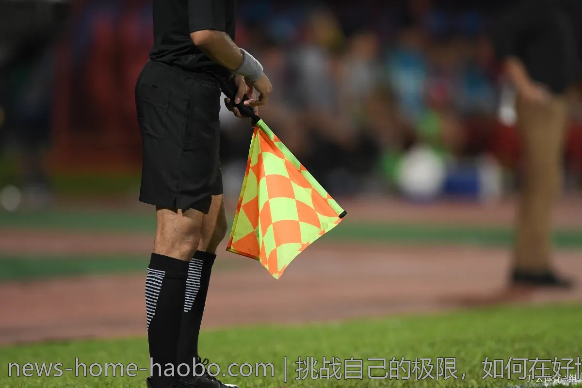 挑战自己的极限，如何在好博体育体验高风险投注？
