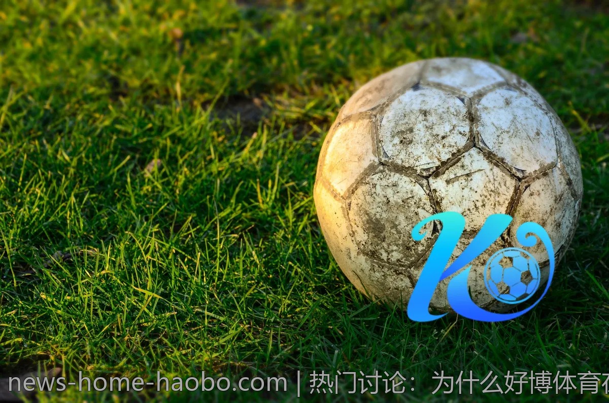 热门讨论:为什么好博体育在年轻人中受欢迎?