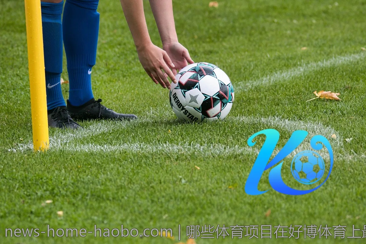 哪些体育项目在好博体育上最受欢迎?一探究竟