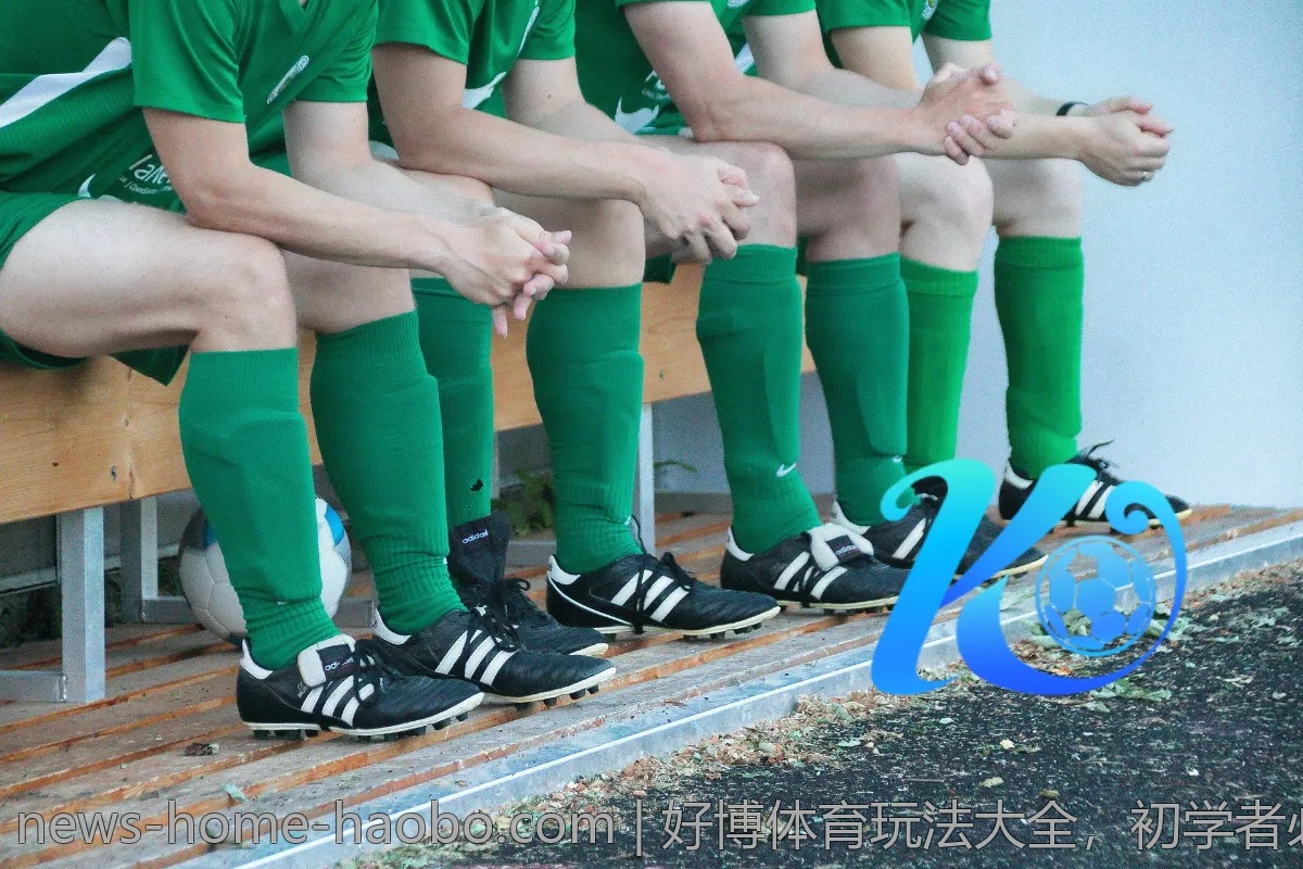 好博体育玩法大全,初学者必看攻略