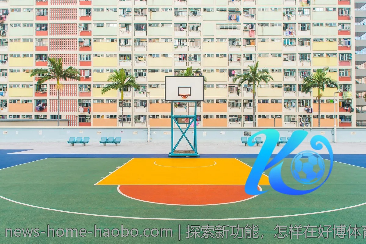 探索新功能，怎样在好博体育上更便捷地获取信息？
